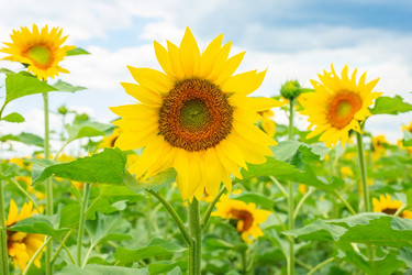 Similar image 22067925