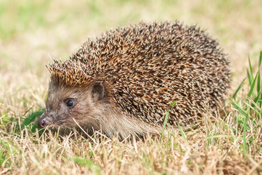 Similar image 22067927