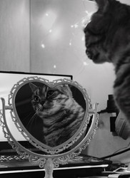 Similar image 22071501