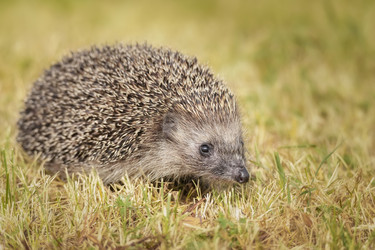 Similar image 22068083