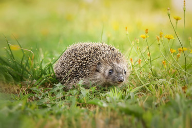 Similar image 22068096