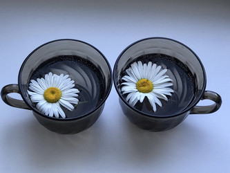 Similar image 22080473