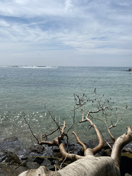 Similar image 22066410