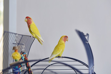 Similar image 22071700