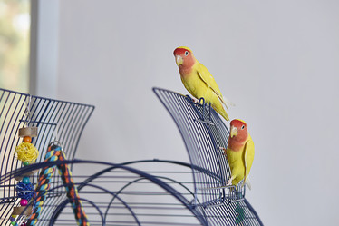 Similar image 22071701