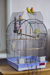 Similar image 22071702