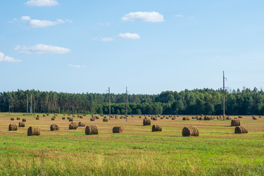 Similar image 22070391