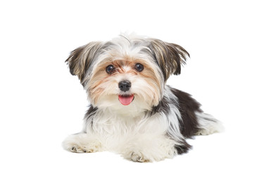 Similar image 22067727