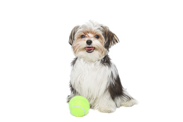 Similar image 22067728