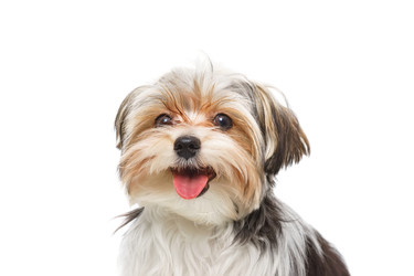 Similar image 22067733