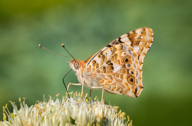 Similar image 22067932