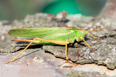 Similar image 22067935