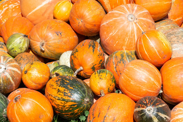 Similar image 22067938