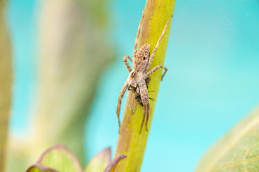 Similar image 22067942