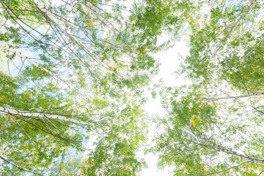 Similar image 22067943