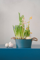 Similar image 22091454