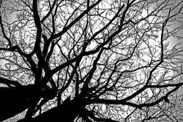 Similar image 22066568