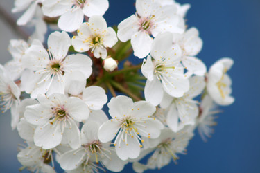 Similar image 22066571