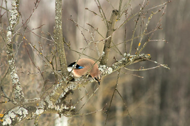 Similar image 22066572