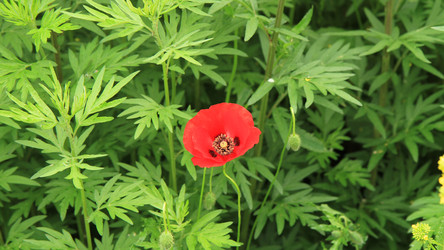 Similar image 22066577