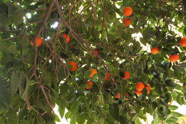 Similar image 22066579