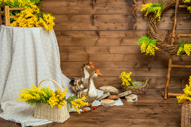 Similar image 22080911