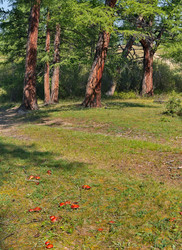 Similar image 22077588