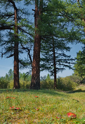 Similar image 22077589