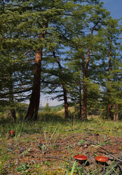 Similar image 22077590