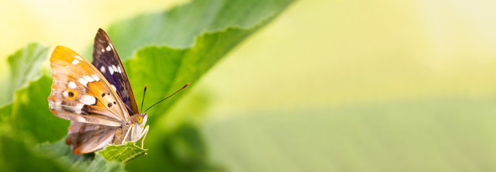 Similar image 22067333