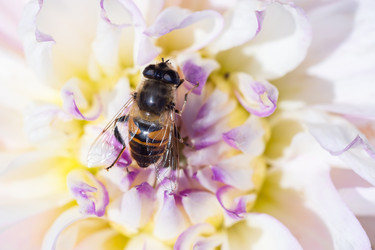 Similar image 22067338