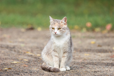 Similar image 22067344