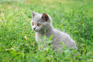 Similar image 22067349