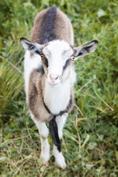 Similar image 22067362