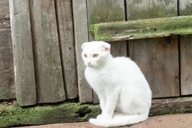 Similar image 22067369