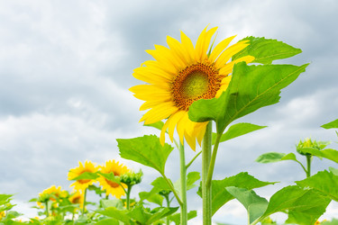 Similar image 22067376