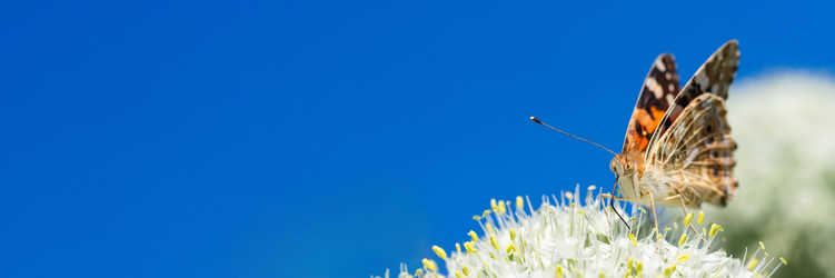 Similar image 22067380