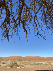 Similar image 22066422