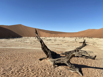 Similar image 22066424