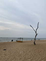 Similar image 22066429