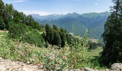 Similar image 22066586