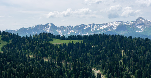 Similar image 22066592