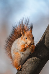 Similar image 22068129