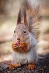 Similar image 22067382