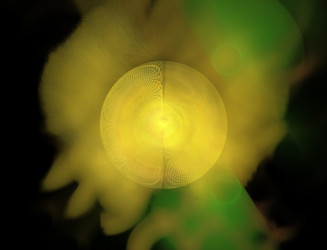 Similar image 22069141