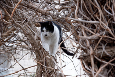 Similar image 22071832