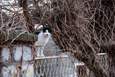 Similar image 22071833