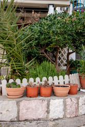 Similar image 22076962