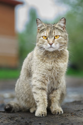 Similar image 22068144