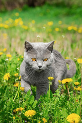 Similar image 22068147